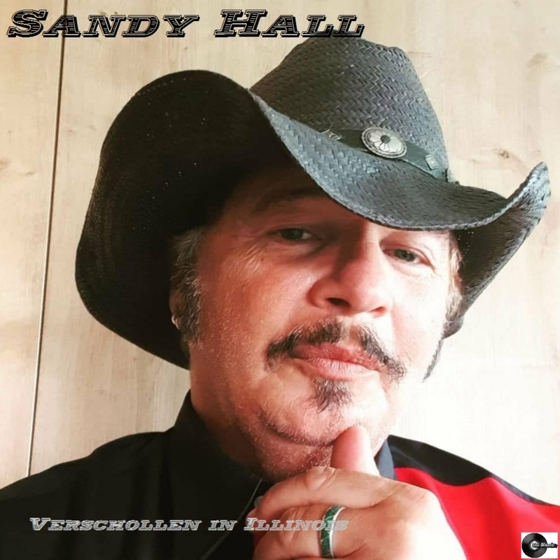 Sandy Hall 01 - Verschollen in Illinoise