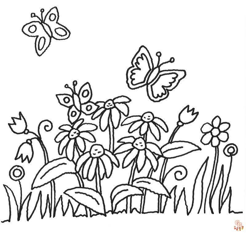 Matten - Die Blumenwiese im Wald