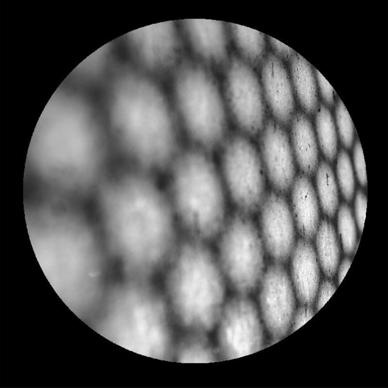 Nanoptiq - Halifax