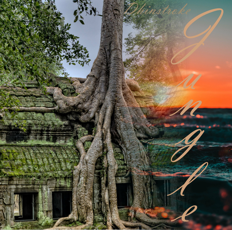 Dhinstroke - Jungle 2023