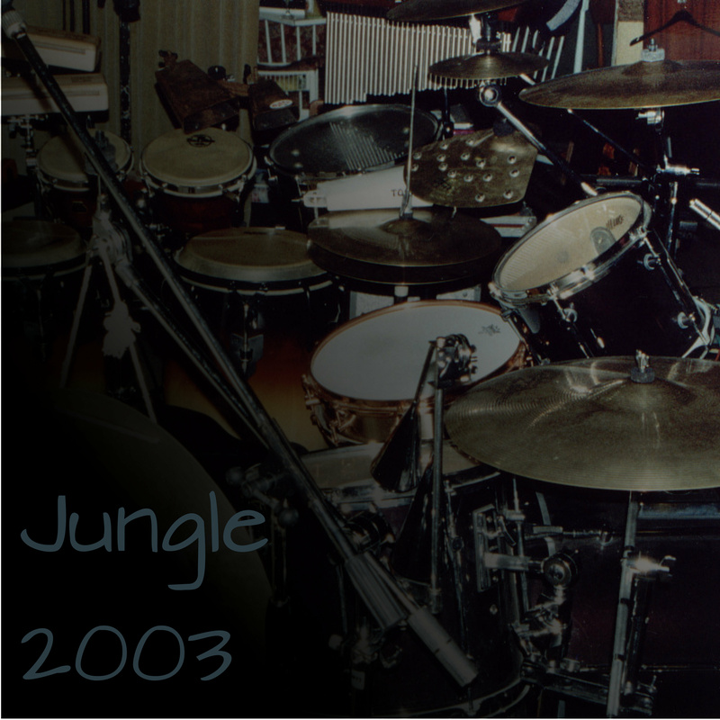 Dhinstroke - Jungle - The first 2003