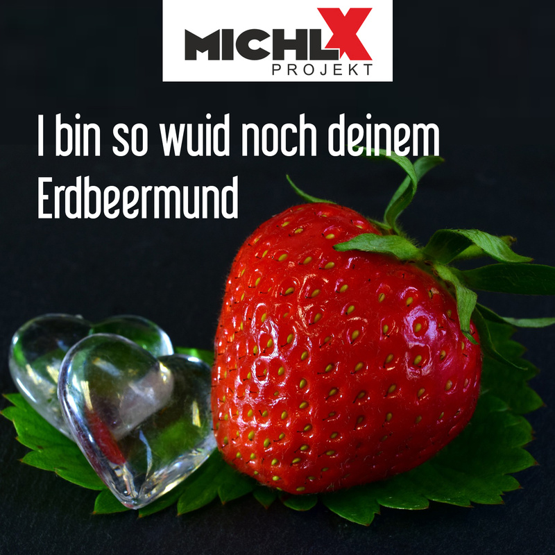 Michl X Projekt - I bin so wuid noch deinem Erdbeermund