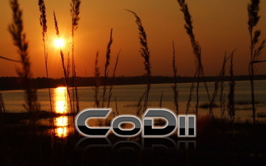 CoDii - Love You Like I Can