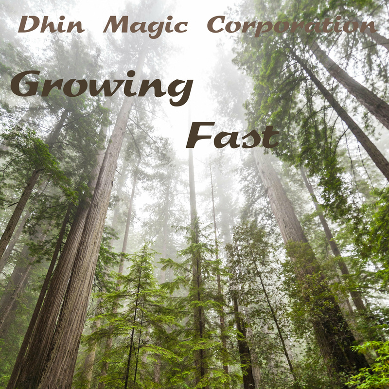 Dhin/Magic Pad Corporation - Growing Fast