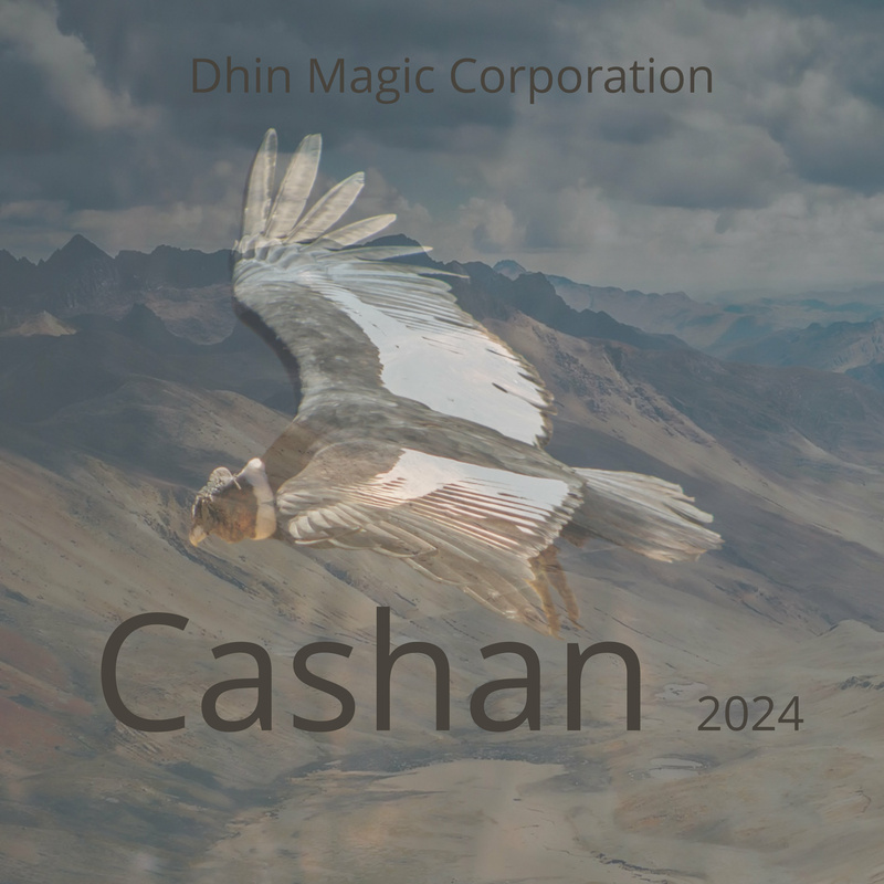 Dhin/Magic Pad Corporation - Cashan 2024