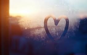 Miacat - the perfect love of the world