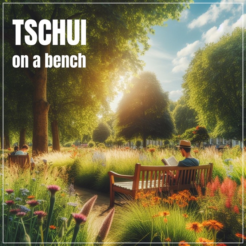 tschuimusic - On A Bench