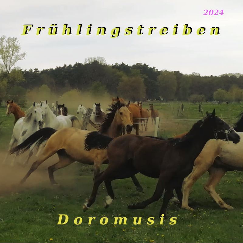 Doromusis - Frühlingstreiben