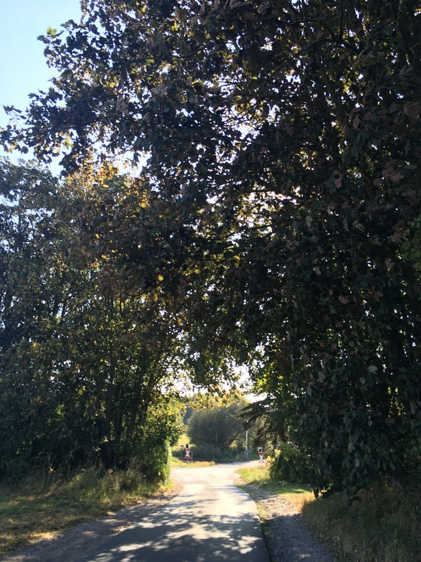 prodoo - kleiner Ort