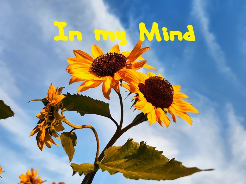 Djkey-5 - In my Mind