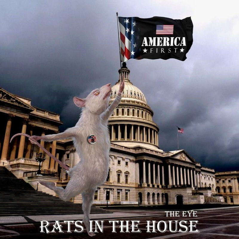 THE EYE - RATS IN THE HOUSE (America First)