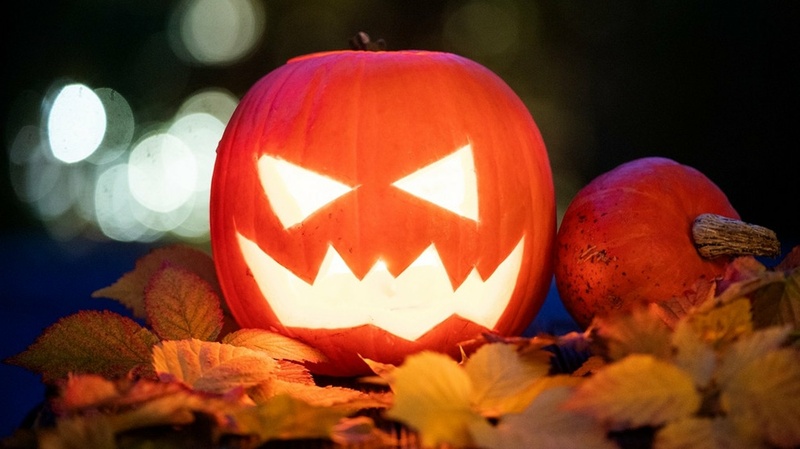 20 Years too late - Halloween
