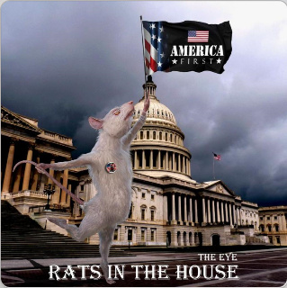 SevenValues - House of Rats feat. The Eye