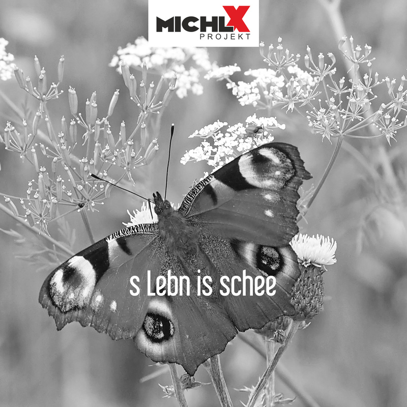 Michl X Projekt - 'S Lebn is schee