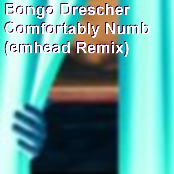 Bongo Drescher - Comfortably Numb (emhead Remix)