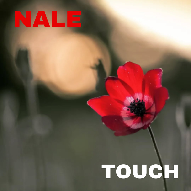 Nale - Touch