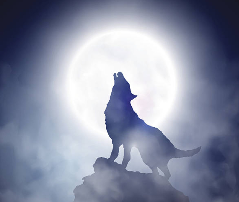 Trägerton Music - Der alte Wolf ist müde