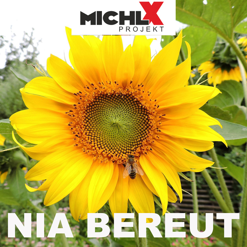 Michl X Projekt - Nia bereut
