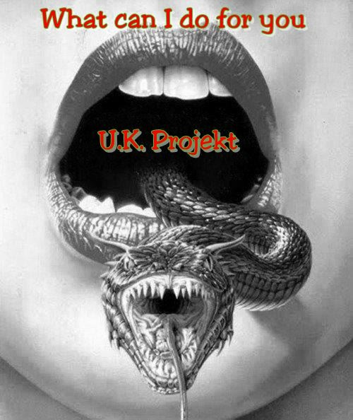 U.K. Projekt Band - What can i do for you?