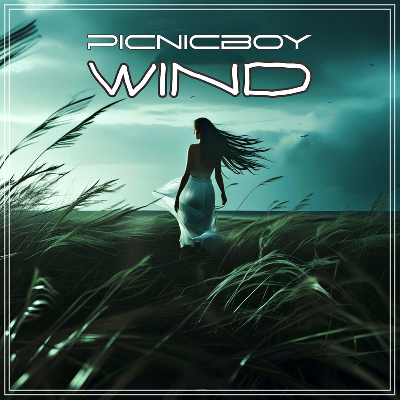 Picnicboy - Wind