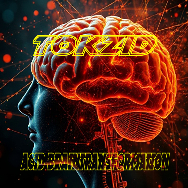 Tokzid - Brain Transformation