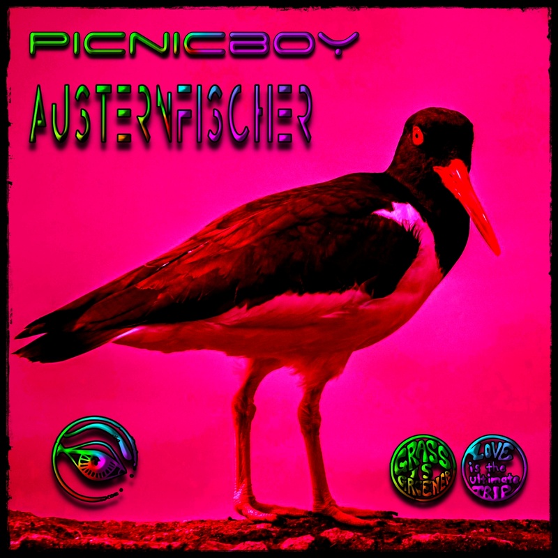 Picnicboy - Austernfischer