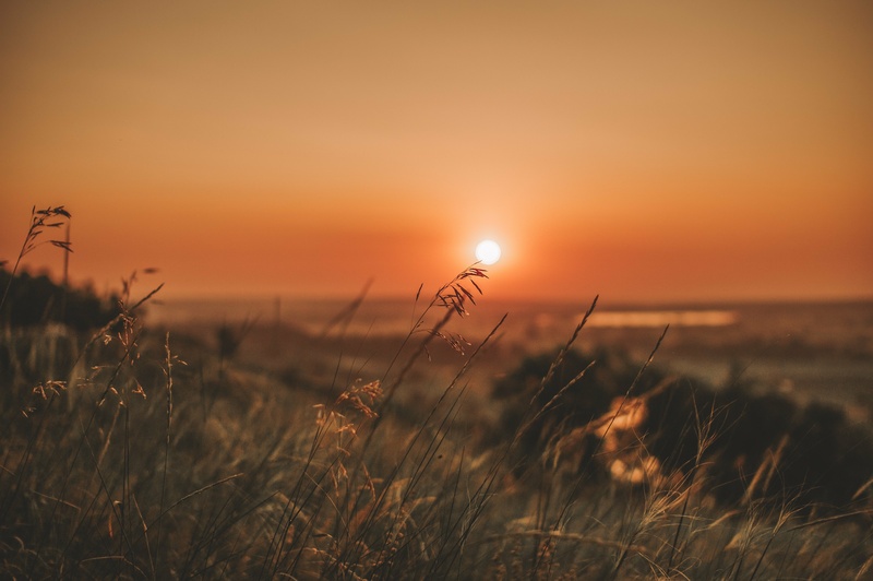 CJR - Sunrise 2025