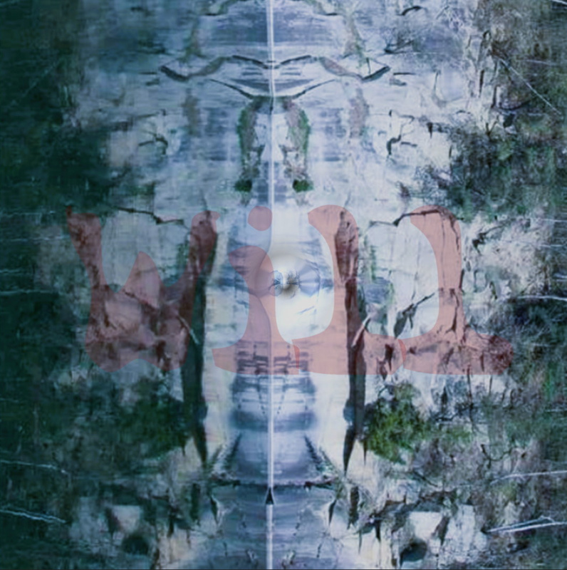Mekkbuda - Will