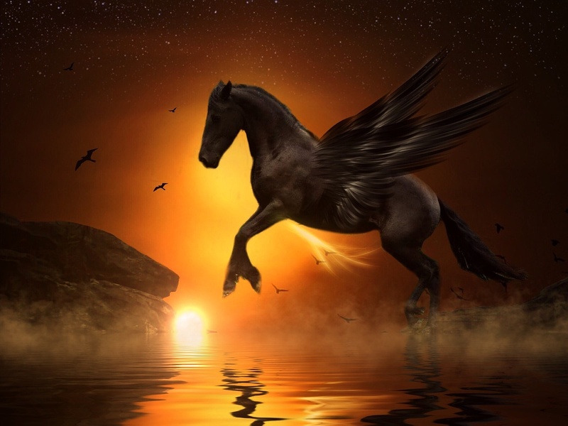 JazzGarten - Pegasus