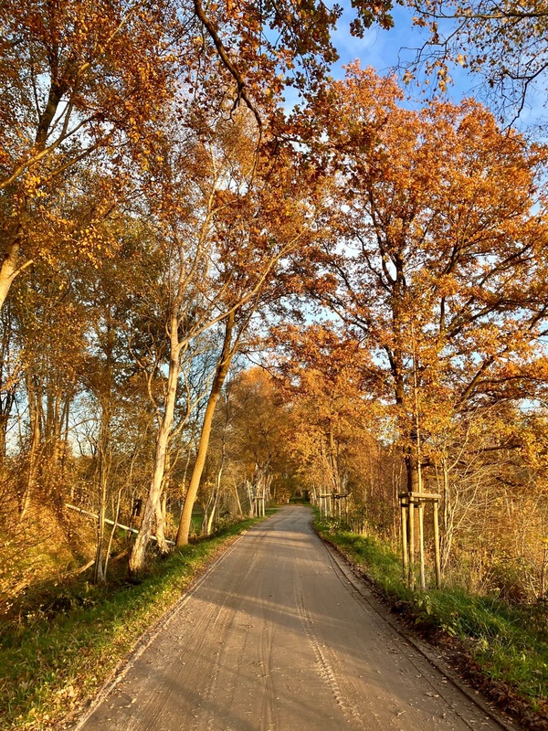 Flor - Fühlen 28.11.2025