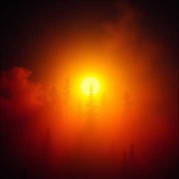 Matt van Doom - Wir sind das Licht