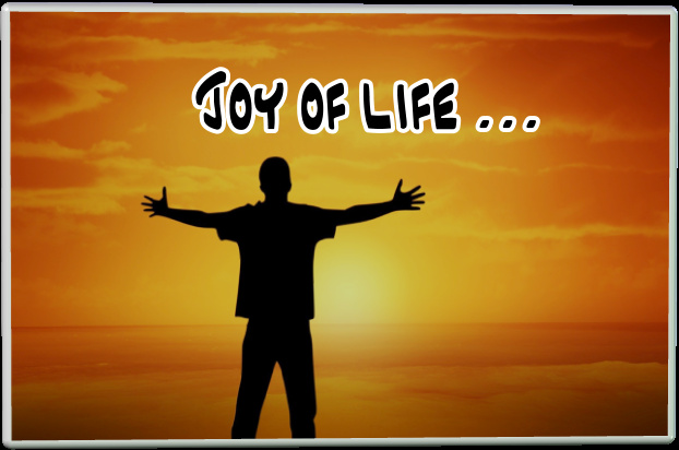 Jochen-S - Joy of life