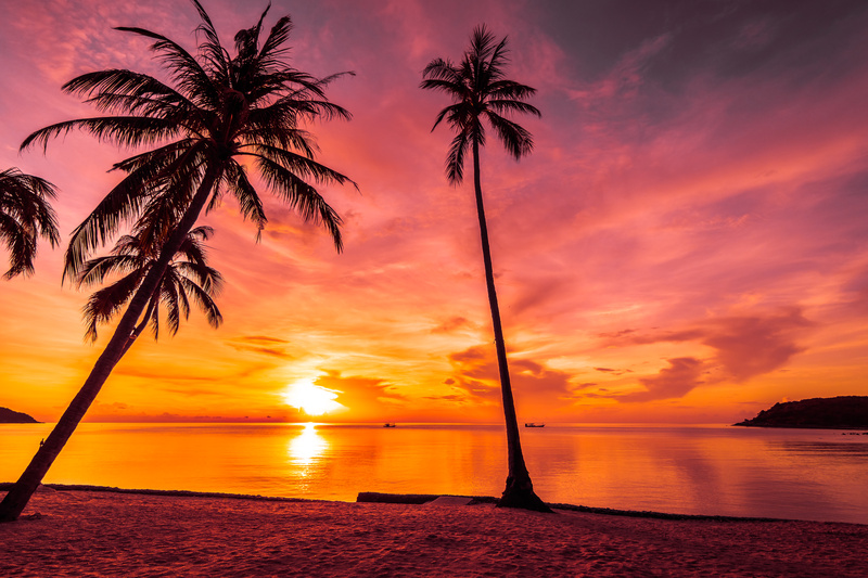 M-SPEED - Sunrise (Original Mix)
