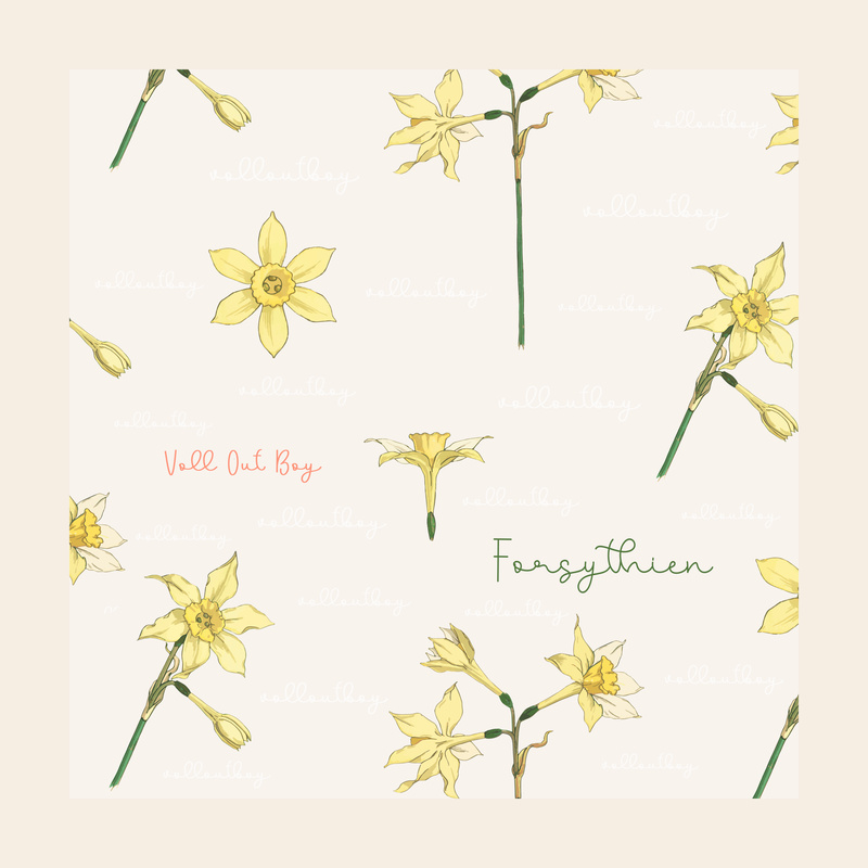 Voll Out Boy - Forsythien