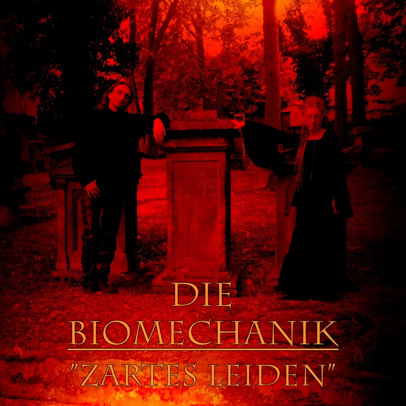 Die Biomechanik - Zartes Leiden
