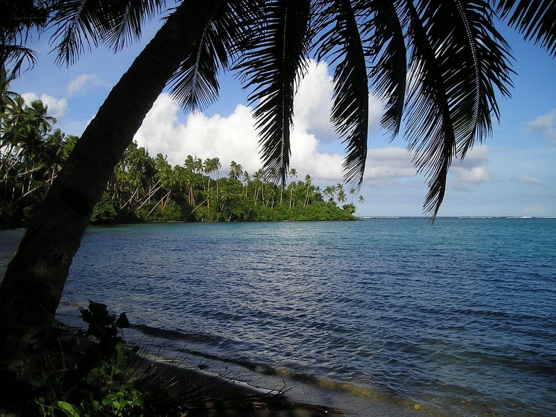 Jomisee - SAMOA