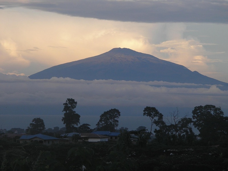 Jomisee - KAMERUN