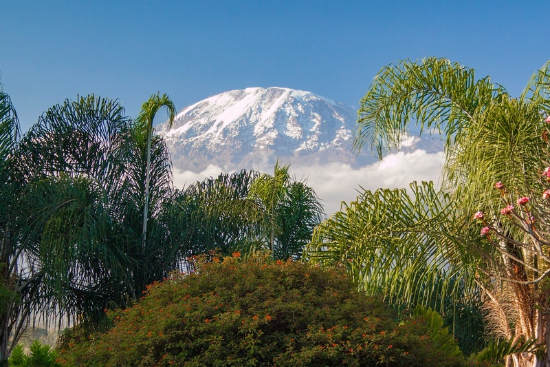 Jomisee - TANSANIA