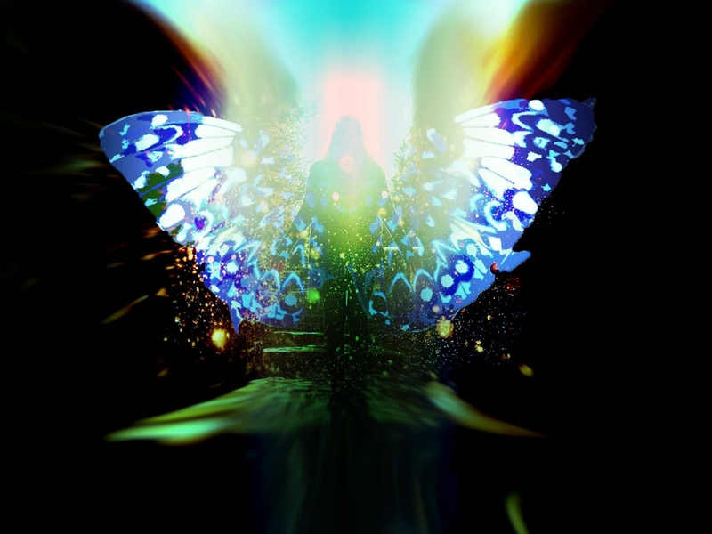 prodoo - Transformation