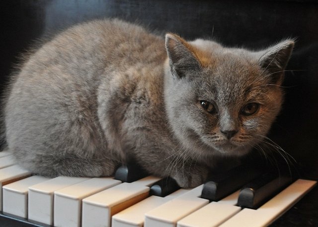Hype - Piano Blues Shuffle